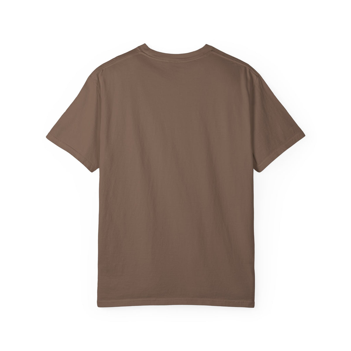 Equipping the Saints T-shirt - Comfort Colors