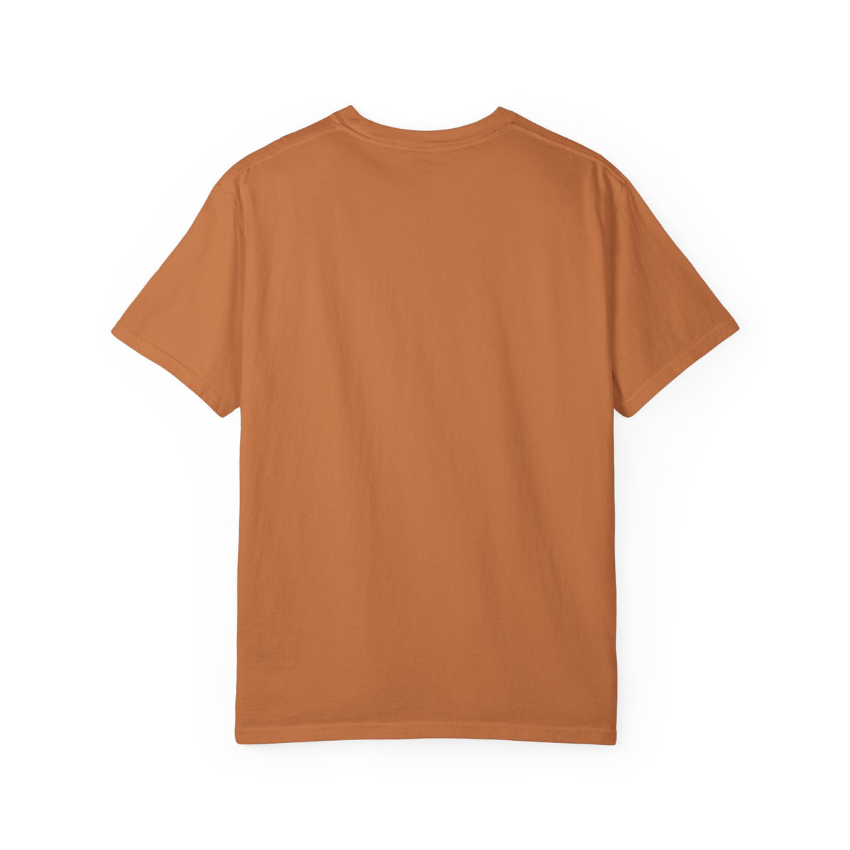 Equipping the Saints T-shirt - Comfort Colors