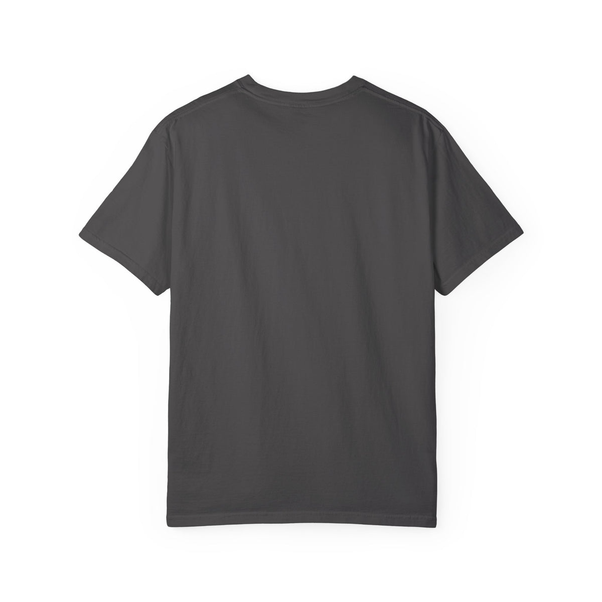 Equipping the Saints T-shirt - Comfort Colors